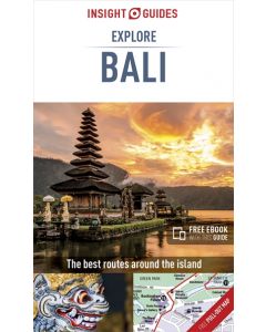 Bali InsightExplore 